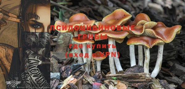 альфа пвп Козельск