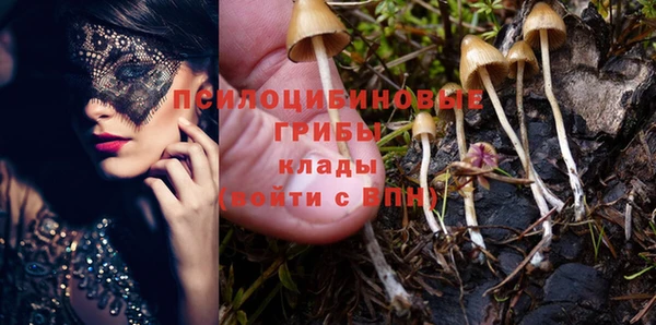 Альфа ПВП Касимов