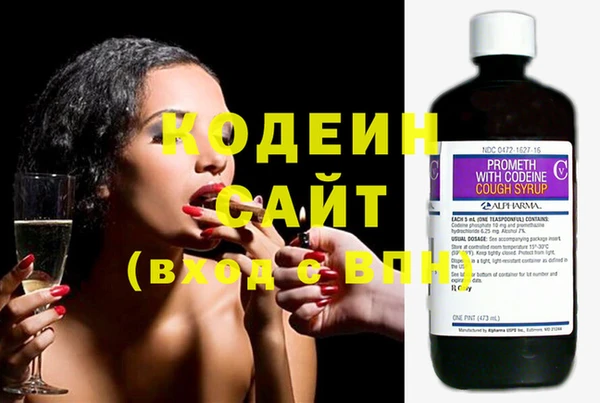 дмт Кодинск