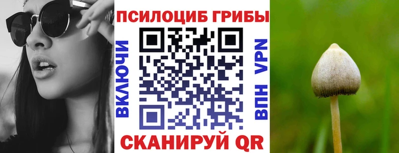 магазин продажи наркотиков Котельнич Псилоцибиновые грибы Cubensis